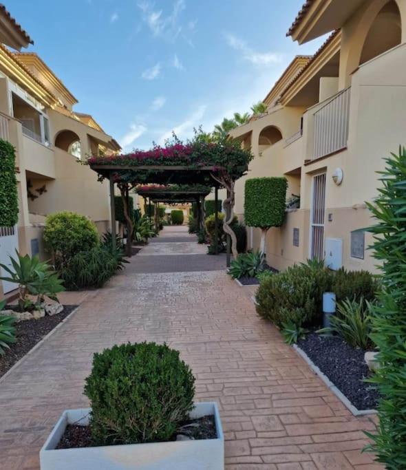 Albatros Mediterraneo Apartment Los Alcazares